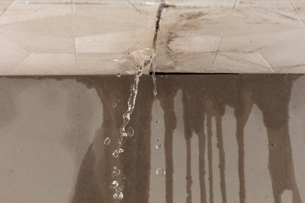 Professional Burst Pipe Cleanup technician working in Spring Hill, TN